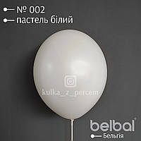 Пастель білий