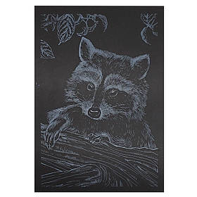 Гравюра А5 "Єнот" Danko Toys ГрА5с-24 економ варіант у пакеті 21 х 14,8 см, Toyman