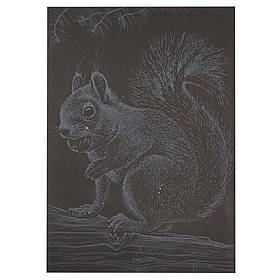 Гравюра А5 "Білочка" Danko Toys ГрА5с-22 економ варіант у пакеті 21 х 14,8 см, Toyman