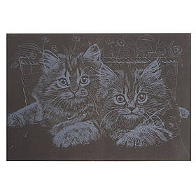 Гравюра А5 "Котики" Danko Toys ГрА5с-20 економ-варіант у пакеті 21 х 14,8 см, Toyman