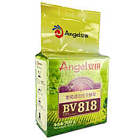 Винні дріжджі Angel BV818, 500г