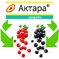 🌿 Актара для смородини: ефективний захист від шкідників — інструкція та поради 🌿