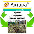 🌿 Актара для смородини навесні: ефективний захист від шкідників і секрети правильної обробки 🌿