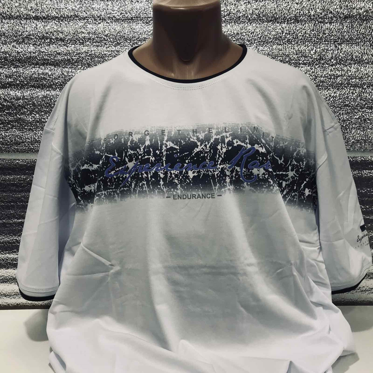 Футболка чоловіча великого розміру RED DOWN 6XL-9XL арт.962-1, Міжнародний розмір 7XL, Розмір чоловічого одягу