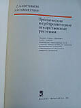 Мурашина Д.А., Гаммерман А.Ф. Тропічні та субтропічні лікарські рослини. (б/у)., фото 4
