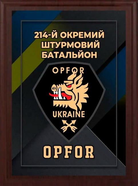 Подяка / грамота / диплом / нагорода на дерев'яній дошці 214 батальйон плакетка