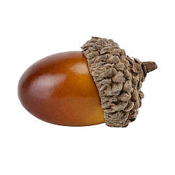 Набір декоративних жолудів "Осінній затишок", 50 шт, 3 см Solar Moon