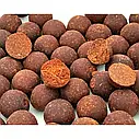 Бойли варені Puhach Baits Premium Line Boilies 20 mm 1 kg - Squid (Кальмар), фото 2