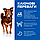 Hills SP Canine Adult Medium Culinary Creations (Хіллс Медіум Катка Картопля) корм для собак 1-6 середніх порід, фото 4