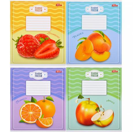 Зошит кольоровий 12 аркушів, лінія "2823" N MZOPT