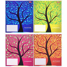 Зошит кольоровий 12 аркушів, лінія "2694" N MZOPT