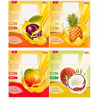 Від 20 шт. Зошит кольоровий 12 аркушів, лінія "2900" N  купити дешево оптом в інтернет-магазині