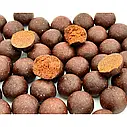 Пилячі бойли Puhach Baits Premium Line Soluble Boilies 24 mm 1 kg - Squid Сranberry, фото 2