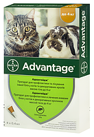 Краплі на холку від бліх і кліщів для котів і кроликів Bayer Advantage 40 No4 (Байєр Адвантейдж) до 4 кг 4 піпет.