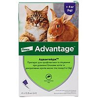 Краплі на холку від бліх і кліщів для котів і кроликів Bayer Advantage 80 No4 (Байєр Адвантейдж) 4-8 кг 4 піпетки