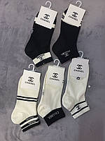 Шкарпетки жіночі, бавовняні,  з принтом