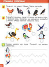 Я досліджую світ. Інтерактивний посібник. 1 клас. Частина 2. Автор Олена Безкоровайна, фото 7