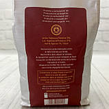 Кава в зернах Blasini Caffe з обжарюванням на дровах 100% арабіка 500 грам з Італії, фото 2