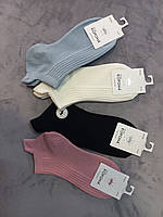 Стильні котонові шкарпетки у кольорах