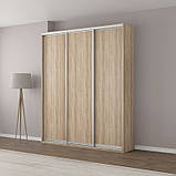 Шафа купе 3 двері 200 х 60 х 240 см N2, фото 7