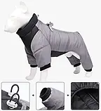 Синтепоновий комбінезон для собак Pet Style "DuoMM" Синій S, фото 9