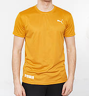 Чоловіча футболка SPORT Puma  гірчиця