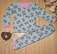 Теплая пижама для девочки, ткань футер с начесом, размер 116.