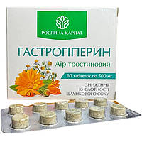 Гастрогідерин для зниження кислотності шлункового соку No60 Росліна Карпат