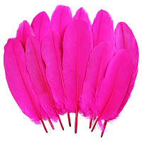 Пір'я гуся натуральні Колір Фуксія 8-15см