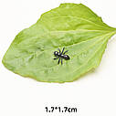 Іграшковий жук павук 5 штук, фото 3