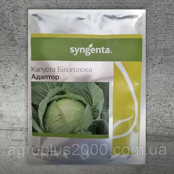Насіння Капуста білоголова пізня Адаптор F1, 2500 насінин Syngenta