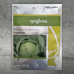 Насіння Капуста білоголова пізня Адаптор F1, 2500 насінин Syngenta