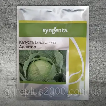 Насіння Капуста білоголова пізня Адаптор F1, 2500 насінин Syngenta, фото 1