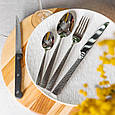 Набір столових приборів у футлярі на 6 осіб столовий набір 30 предметів у футлярі Срібло Lugi, фото 2