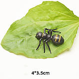 Іграшковий жук мурашка 3 штуки, фото 3