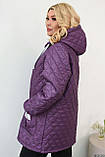 Жіноча куртка Sofia  033 прямого крою з манжетами на резинці, фото 2