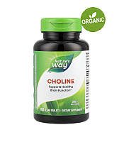 Nature's Way, Холін, Вітамін В4, b4, 500 мг, 100 таблеток