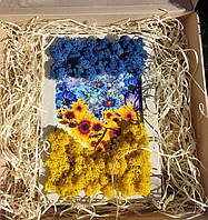 ВИРОБИ З МОХОМ