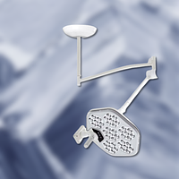 Світильник Luvis S 300 стельовий однокупольний