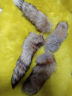 Хвіст лисиці