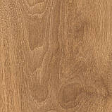 Ламінат KronoOriginal Дуб Харлеч 8573 32 клас 8 мм, фото 2