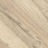 Ламінат EGGER дуб Ріллінгтон світлий 32 клас 8 мм, фото 4