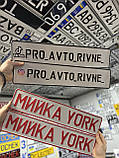 Сувенірний номер на лобове скло | Таблички для водіїв вантажівок, фур, автобусів.Дальнобійник, фото 8
