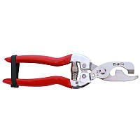 Кільцювачі кори дерев