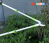 Гілкоріз садовий контактний професійний Sagawata, з ковадлом, телескопічний 675-1040 мм, редуктор, фото 7