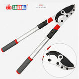 Гілкоріз садовий контактний професійний Sagawata, з ковадлом, телескопічний 690-1020 мм, редуктор, фото 5