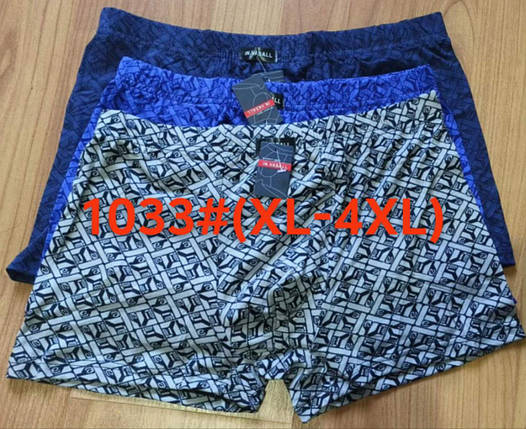 Чоловічі боксери стрейчеві з бамбука Марка "VASALL" Арт.1033, фото 1