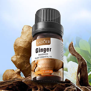 Ефірна олія з ароматом імбиру SADOER, 10мол., фото 2