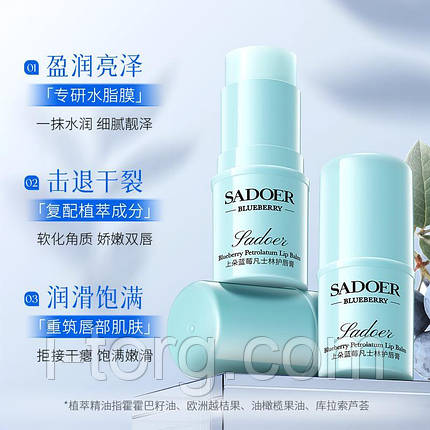 Бальзам для губ з чорницею та вазеліном Sadoer, 4,5г., фото 1