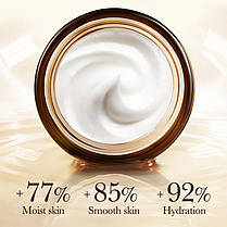 Антивіковий крем, що зміцнює, з ретинолом SADOER, 50г., фото 4